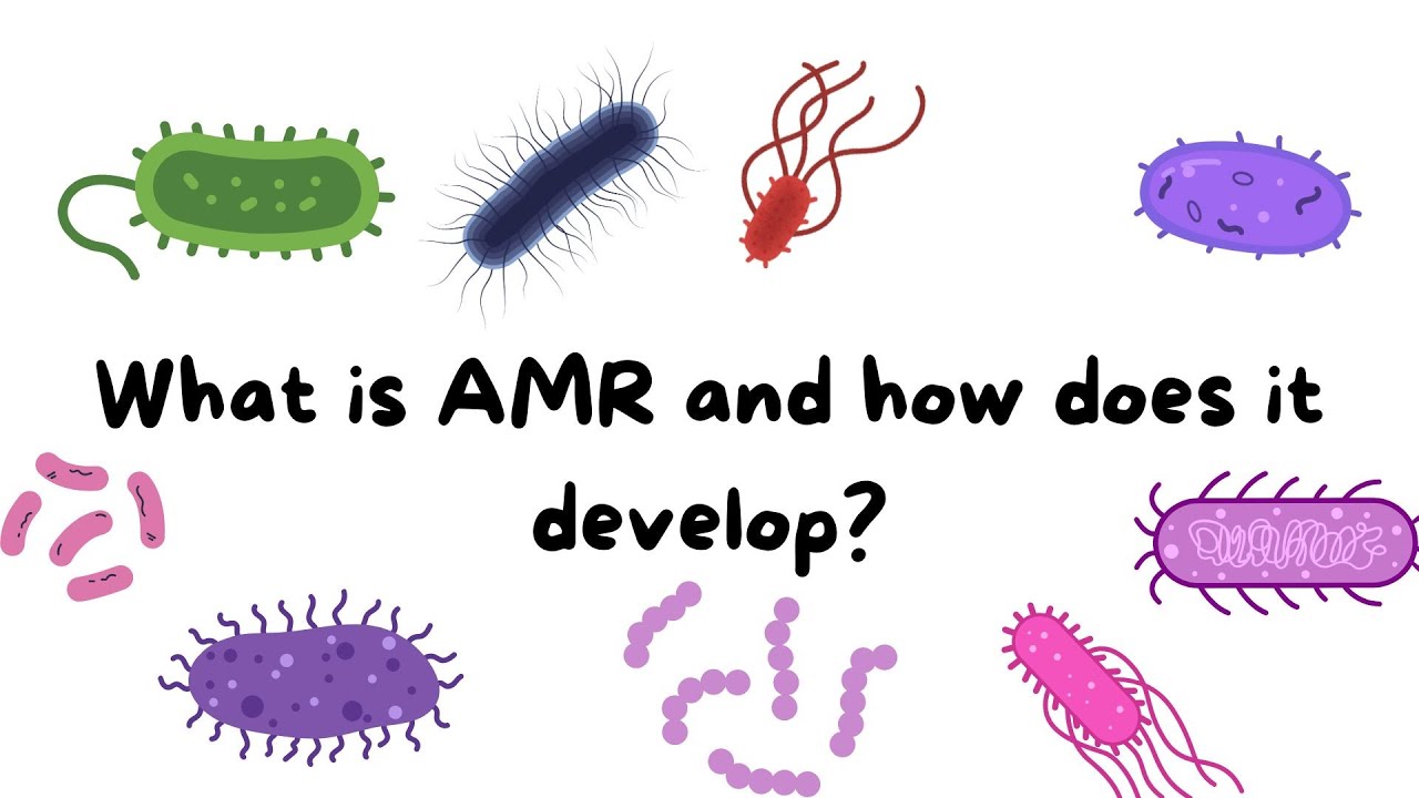 What is AMR and How Does It Develop?
