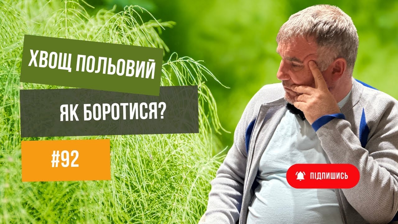 #92 Хвощ польовий.🌱 Як позбавитись❌ та запобігти на своєму полі.