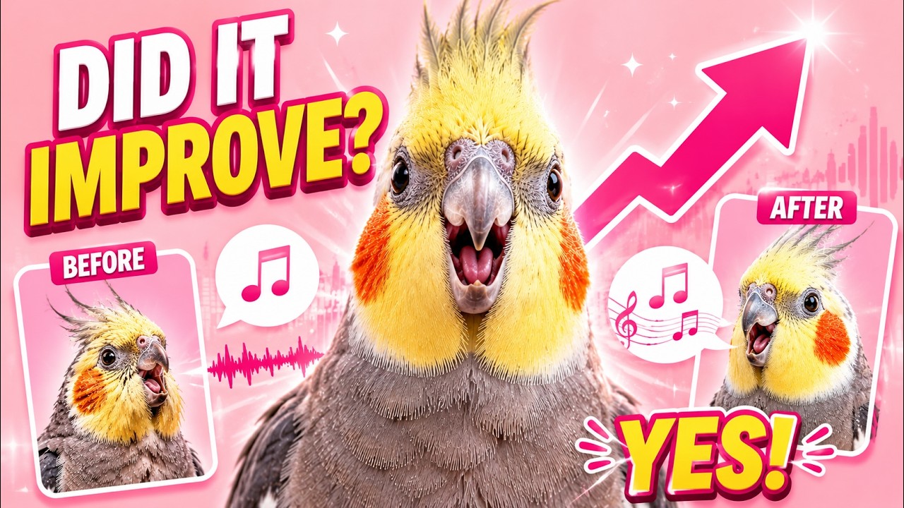 PINK PANTHER COCKATIEL WHISTLE