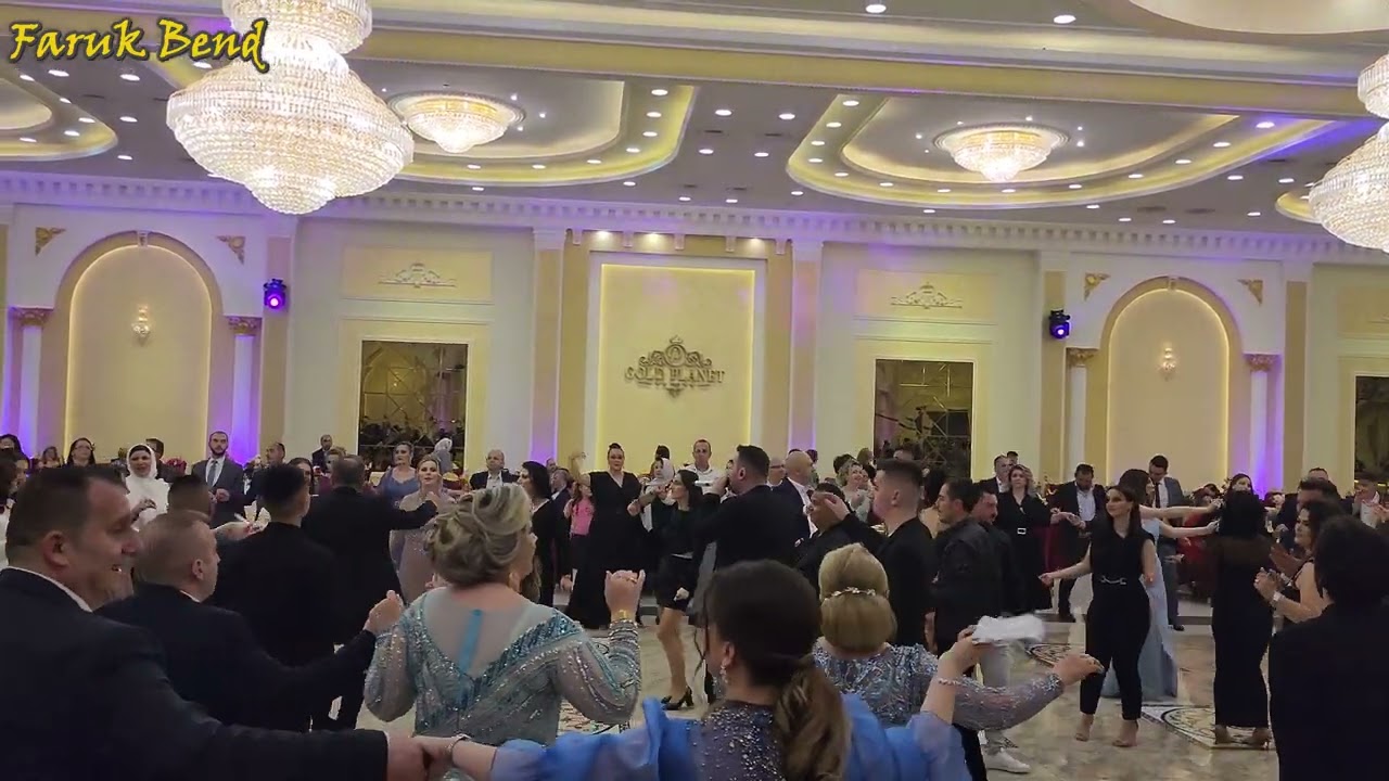 FARUK BEND Sunet DARIS  JALOVJANE gazda FEMCHO  20.05.23