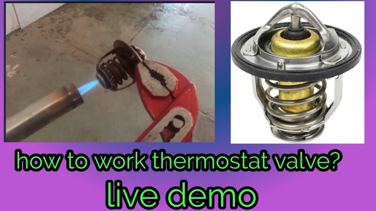 how to work thermostat valve?| live demo|autoshala