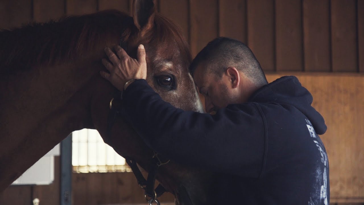 When Horses Heal: Man O’ War Project at Columbia University Irving Medical Center