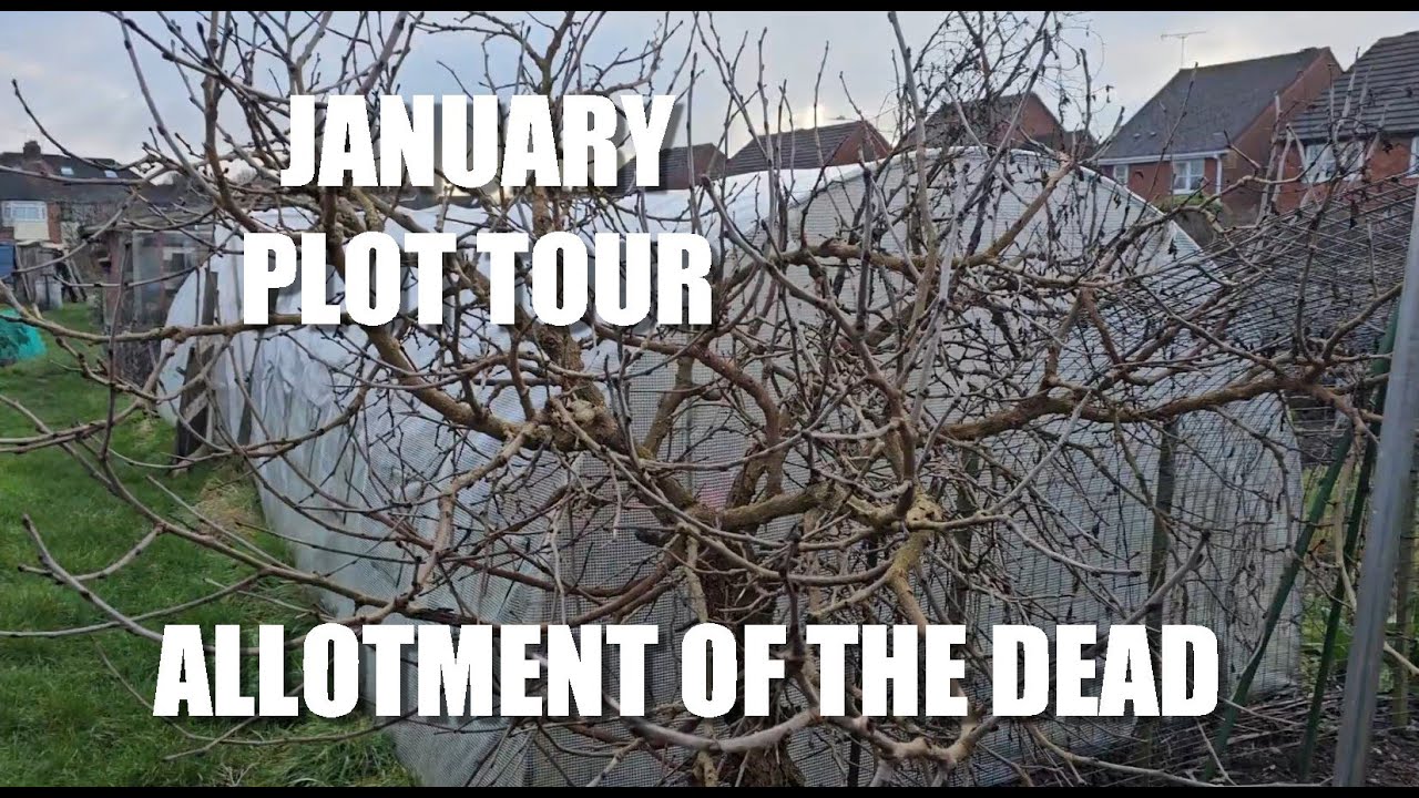 January Plot Tour