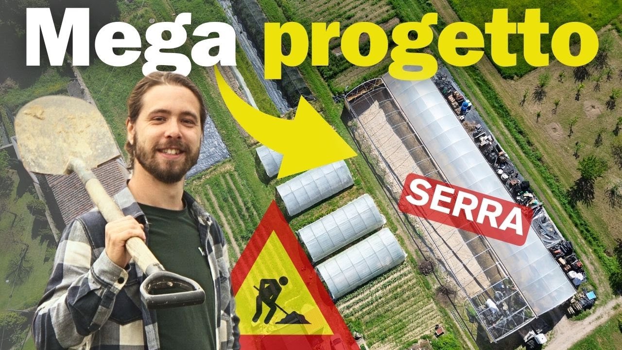FINALMENTE! ECCO COSA VI HO TENUTO SEGRETO FINO AD OGGI. #serra #agricoltura