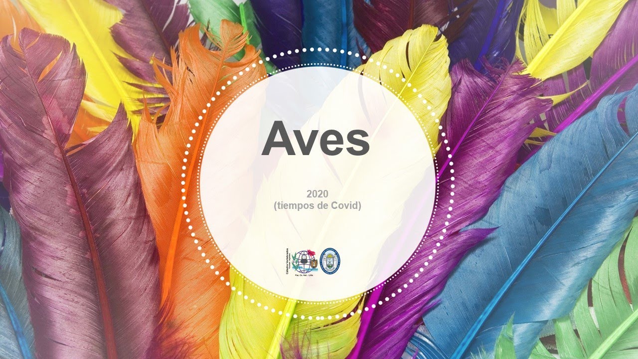 74   Aves   Generalidades