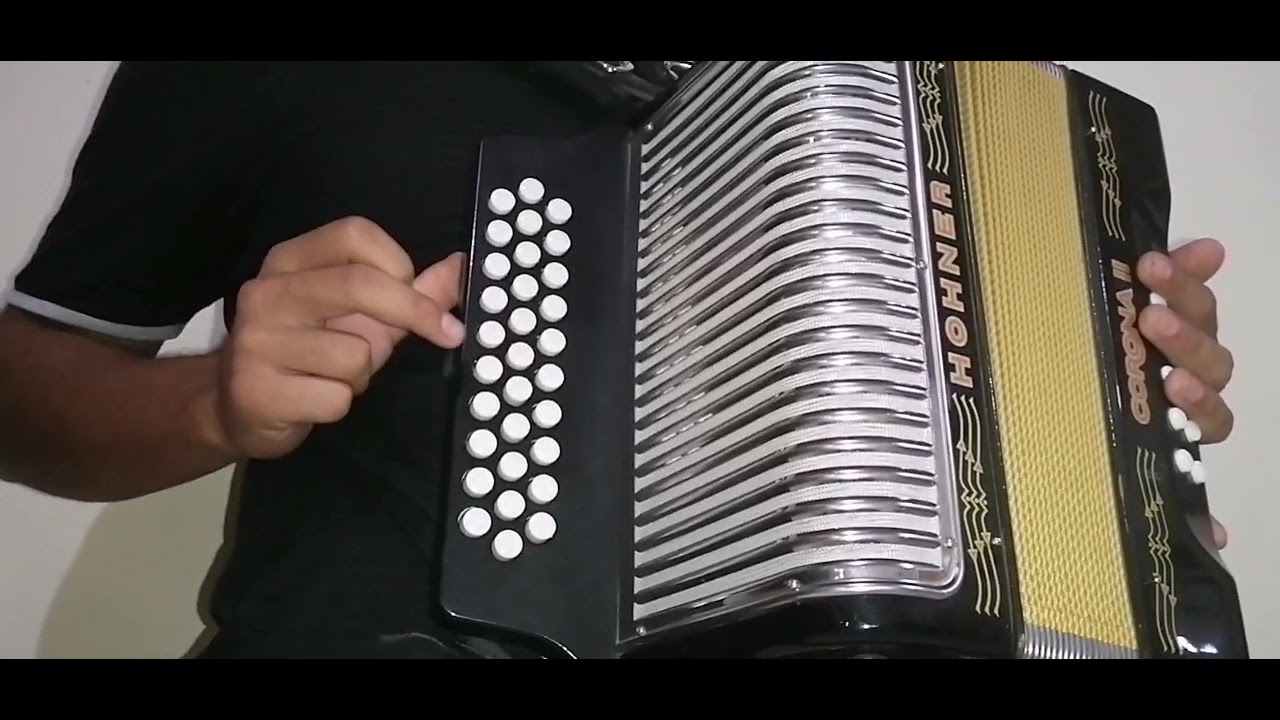 Cumbia Sobre El Rio - Celso Piña en Acordeon de SOL