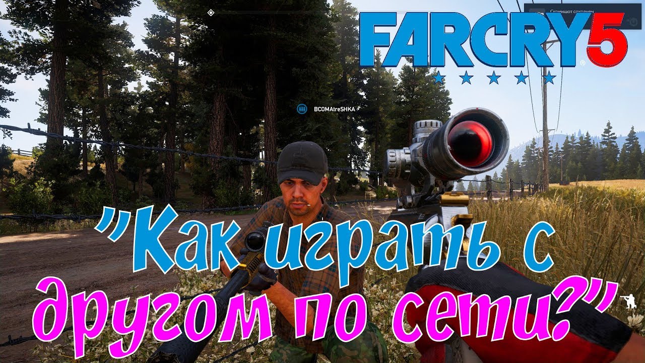 Far Cry 5 How to play with a friend online?