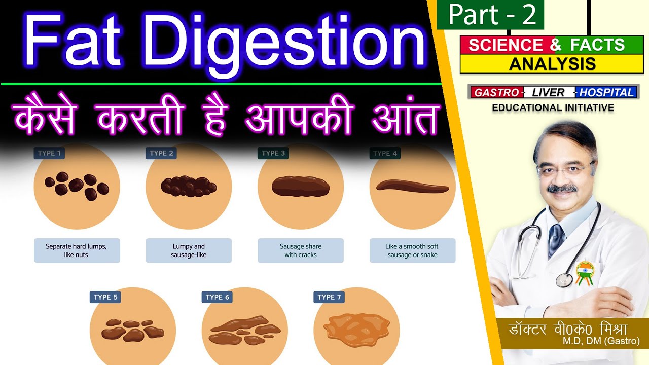 FAT DIGESTION कैसे करती है आपकी आंत || 5 SIGNS  THAT YOU HAVE FAT INDIGESTION