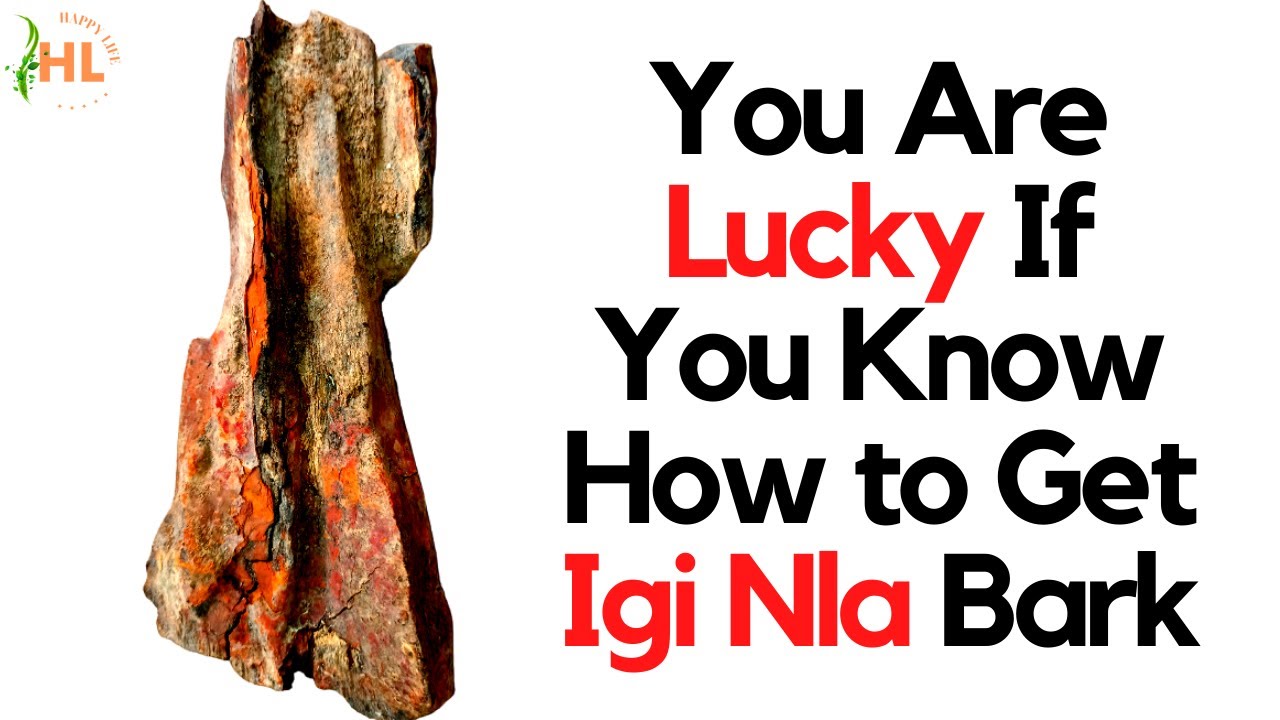 You Are Lucky If You Know How to Get Igi Nla Bark