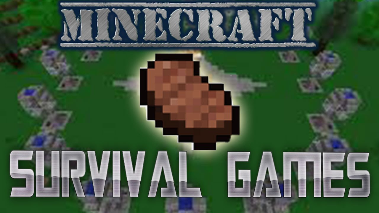 Minecraft SURVIVAL GAMES!