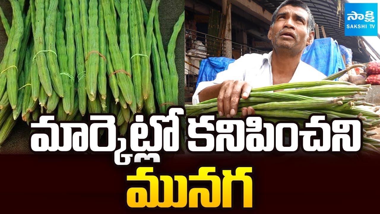 మునగకు ఏమైంది | Drumstick Price Hiked due to Shortage in Market | Sakshi TV