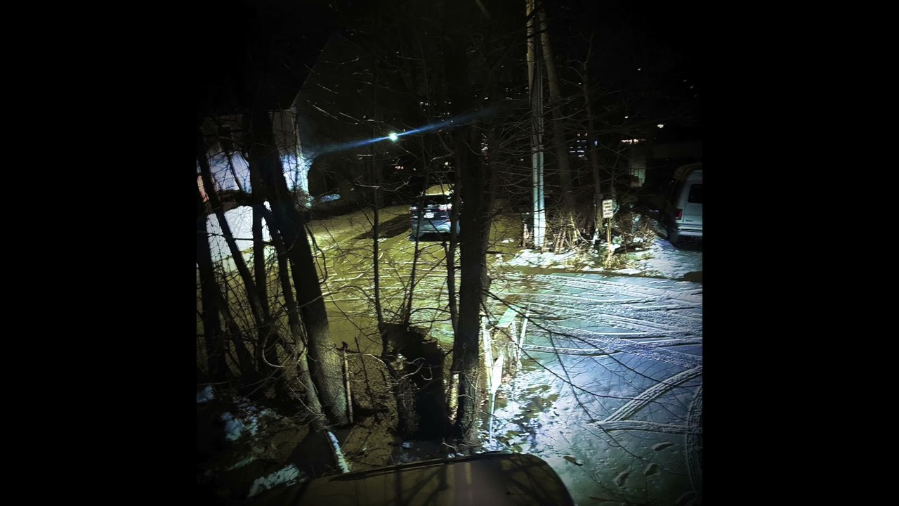 bark dog - looking for the truth (demo)