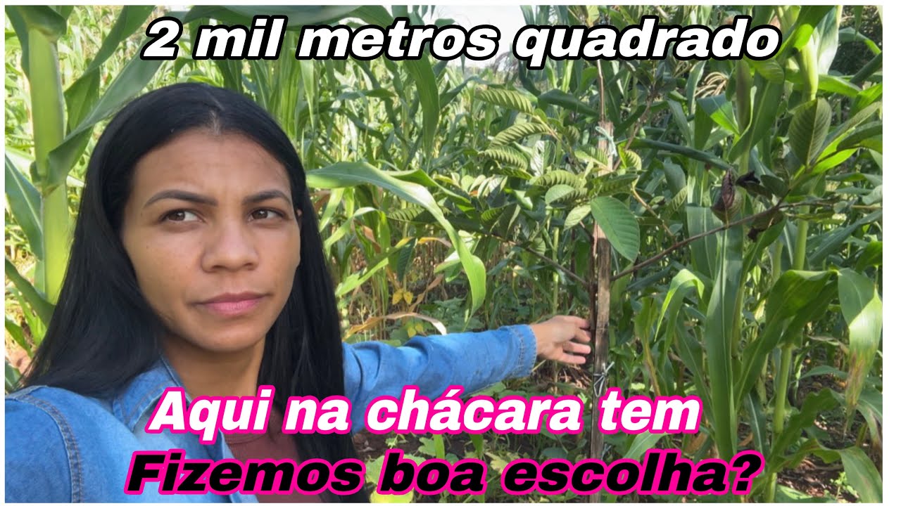 QUANTO VALE AÍ?SERÁ POSSÍVEL UMA CHÁCARA AQUI?