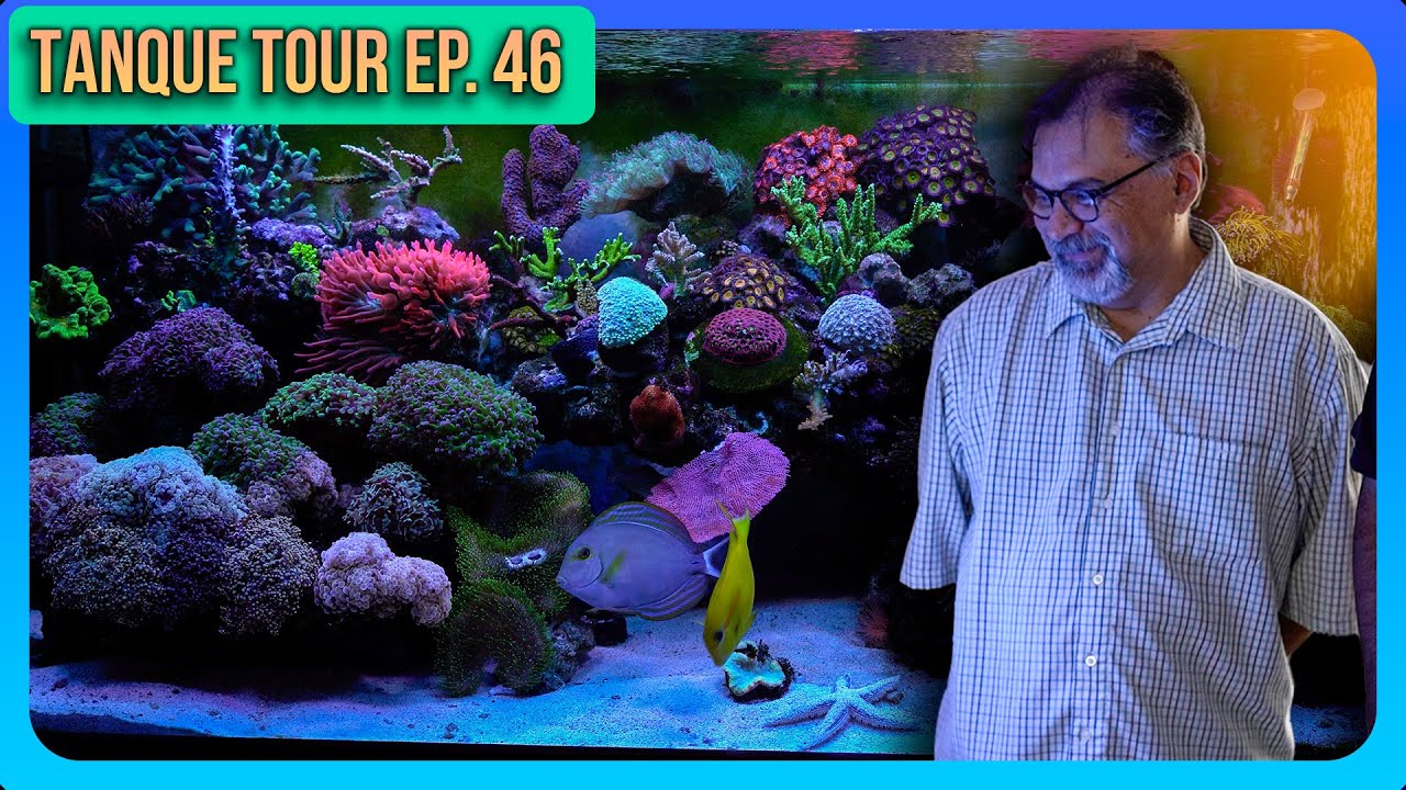 TANQUE TOUR Ep. 46 / Juan Pablo M.  | OSO REEF