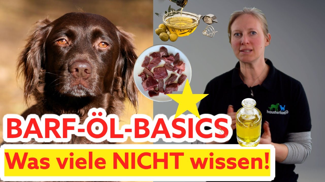 Die RICHTIGEN &Ouml;LE f&uuml;rs Hundefutter: Die besten &Ouml;le f&uuml;r deinen Hund! TippsI Hund richtig ern&auml;hren!
