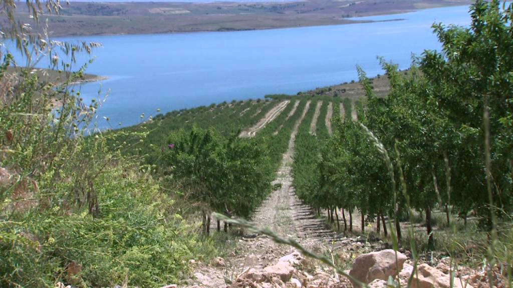 AĞIN BELGESELİ