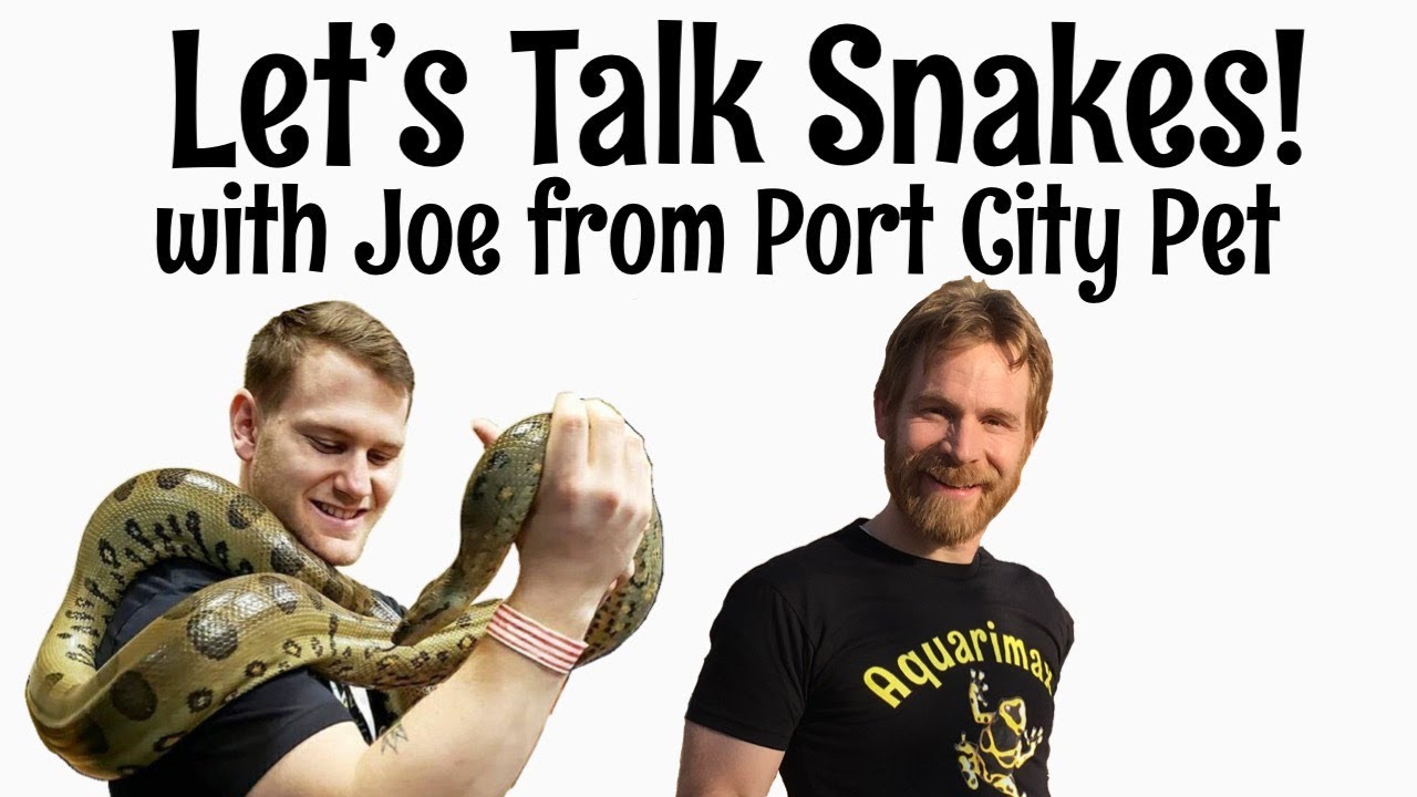 Let&rsquo;s Talk Snakes with Joe of Port City Pet
