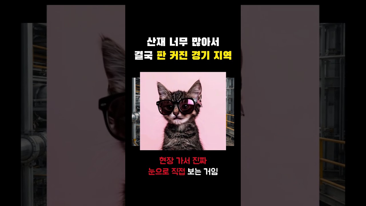 산재 너무 많아서 결국 판 커진 경기 지역