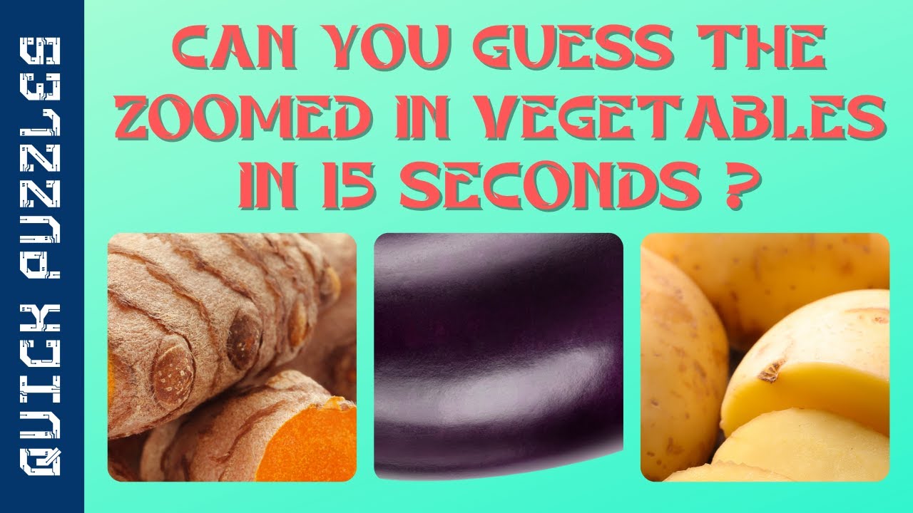 Zoomed In Picture Guessing Game | Zoomed In Picture Puzzle | Part 6 | Object Puzzles | Quick Puzzles