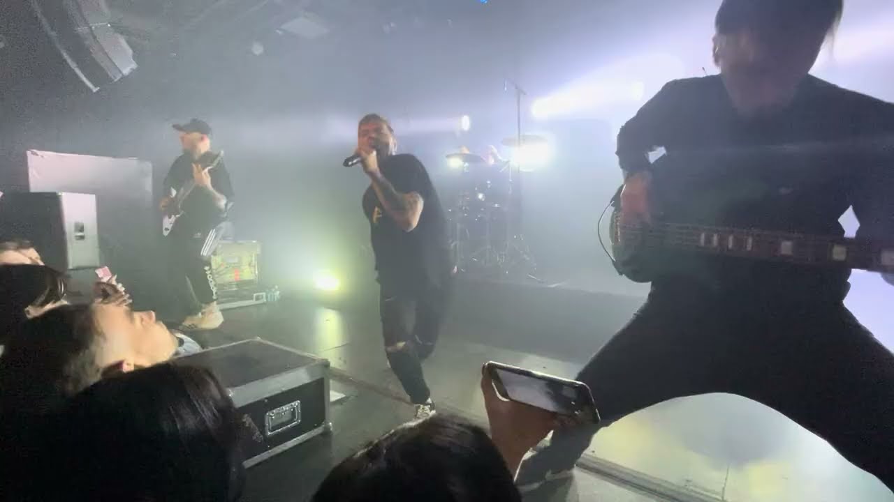 The Korea live in Moscow 25.11.2k23 intro+собаки+тварь