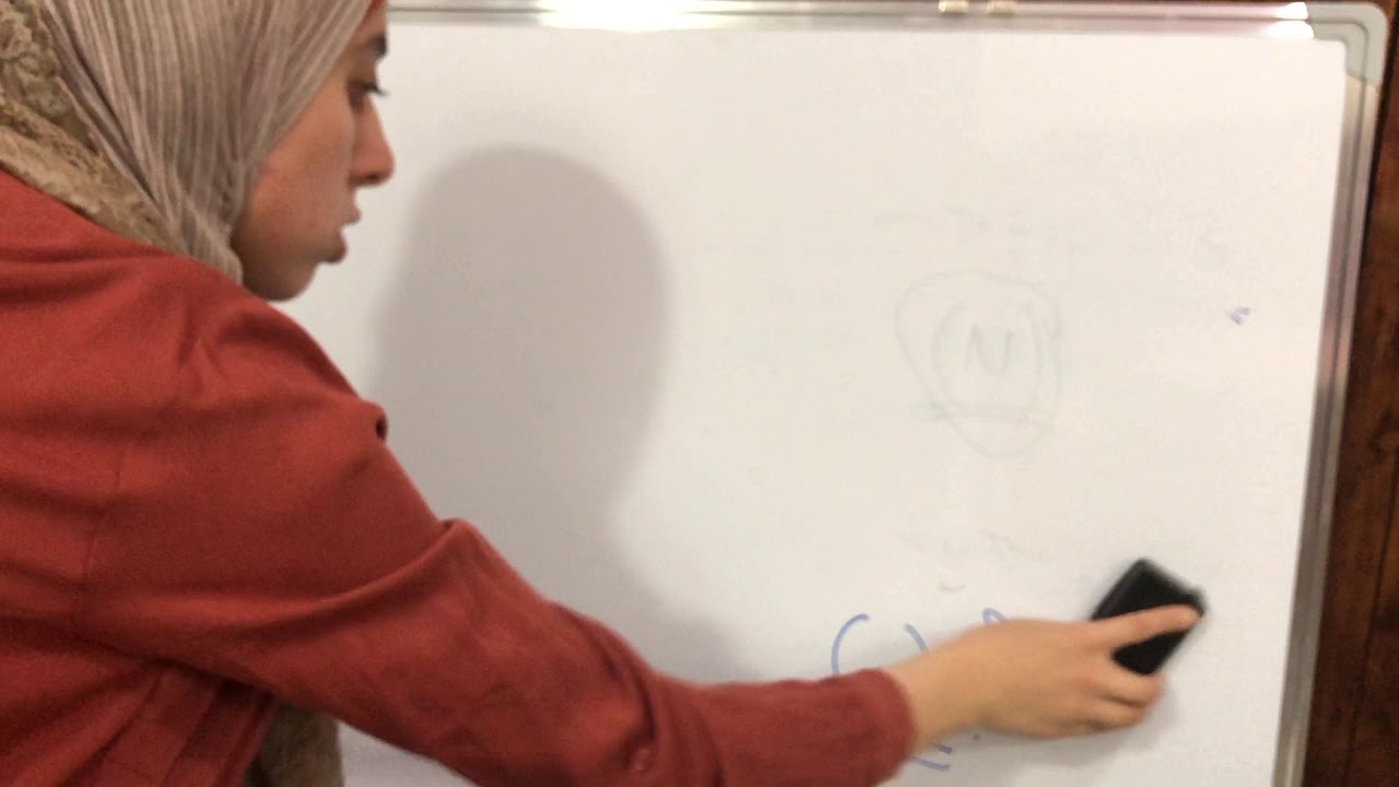 مبادئ احصاء المحاضره الاولى : ch: 1 & ch: 2 The natural of Statistics and Organizing Data