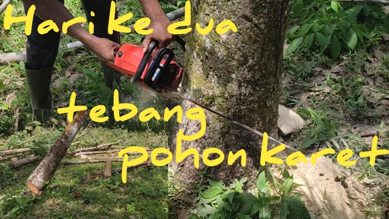 Chainsaw mini falcon kuat dan awet