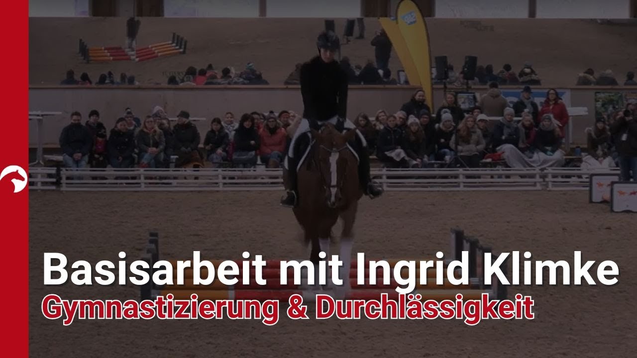Basisarbeit mit Ingrid Klimke