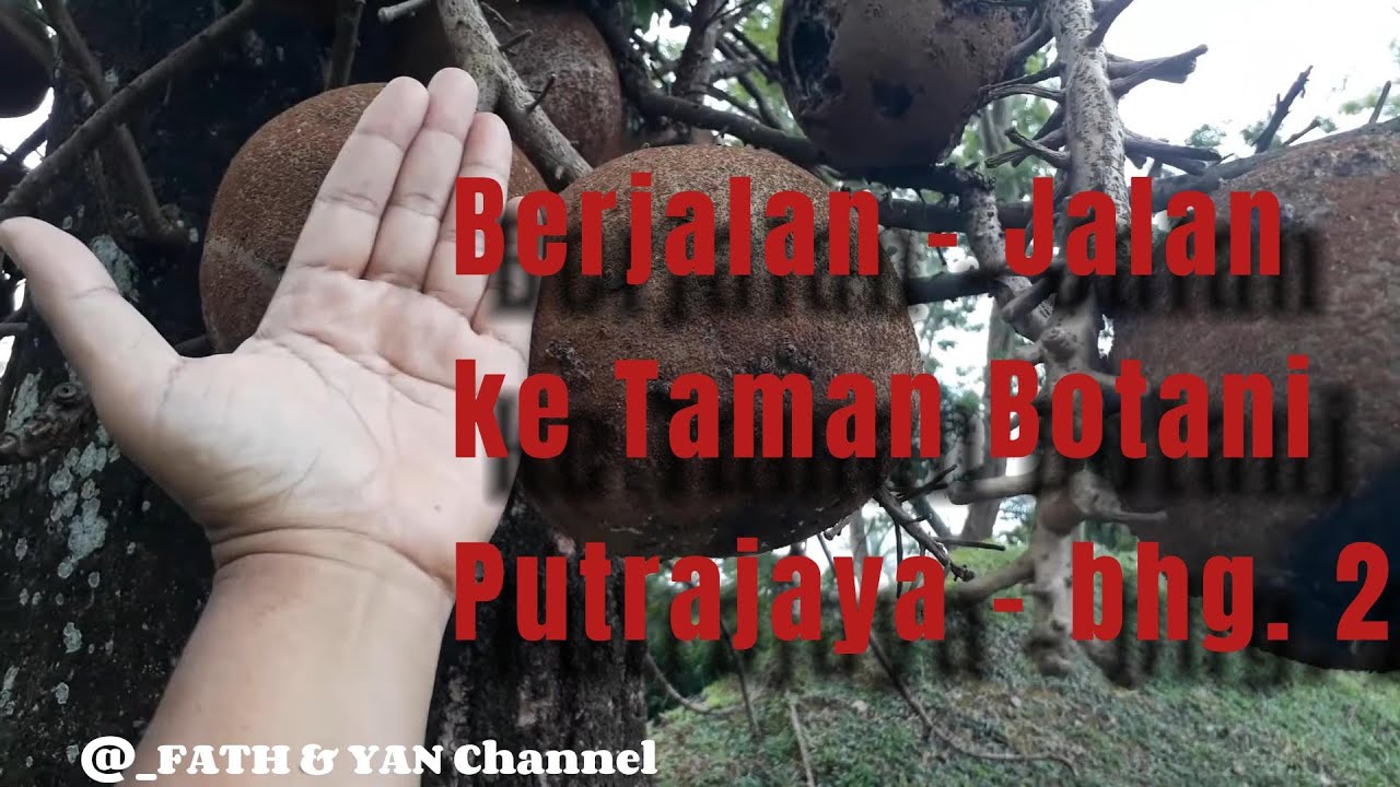 Berjalan - Jalan ke Taman Botani Putrajaya - bhg 2