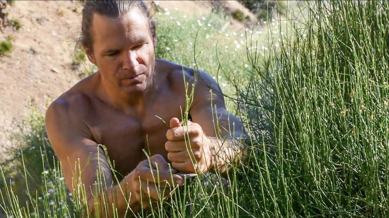 Primitive Mormon Tea from Ephedra Stems