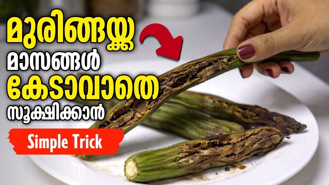 മുരിങ്ങക്കായ് കേടാവാതെ സൂക്ഷിക്കാം | How To Store Drumstick For Long | Malayalam | Frames & Flavors