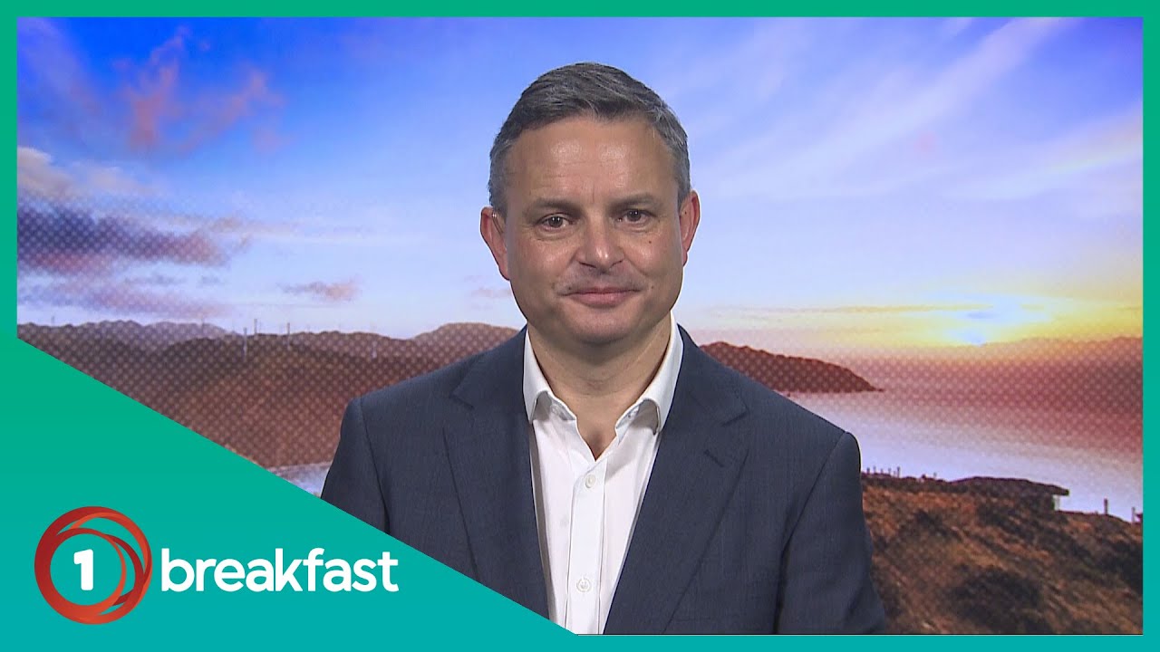 Green's tax plan could 'end child poverty' - Shaw