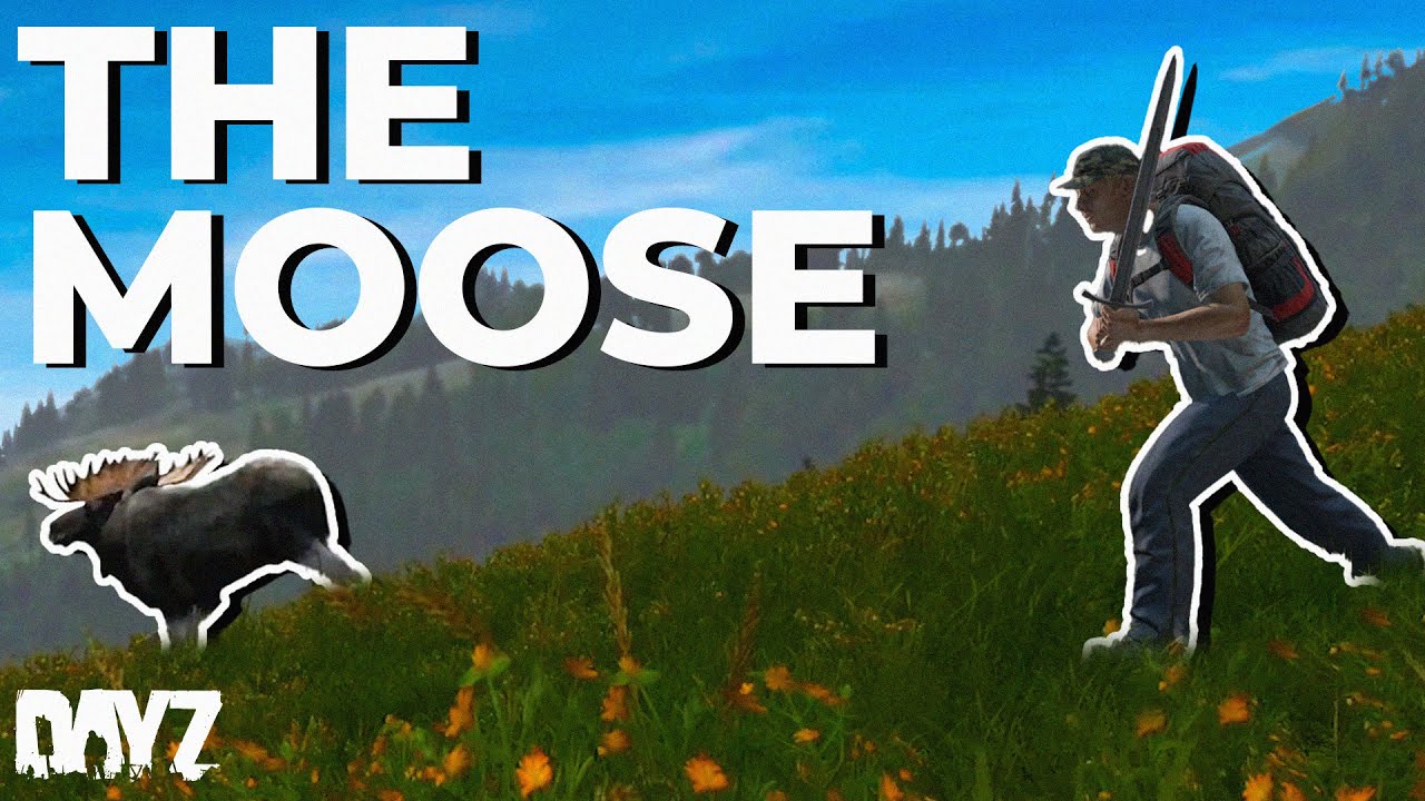 Эш против Лося в DayZ