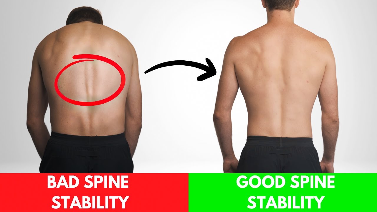 How To Improve Your Spine Stability By Strengthening Your Erector Spinae