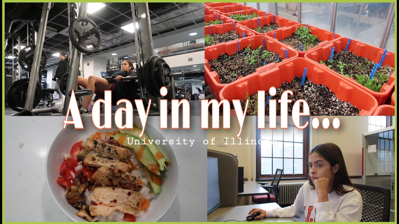 A day in my life as a College Student UIUC 2023