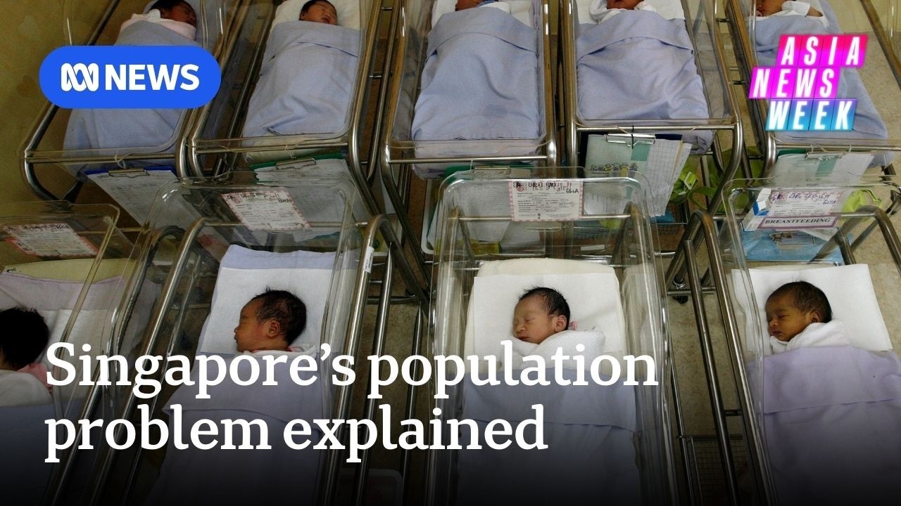 Why 40 years of pro-baby policies haven't boosted Singapore's birth rate | Asia News Week | ABC NEWS