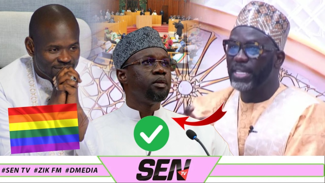 Criminalisation de l’hom0sexualité: La réaction inattendue de Cheikh Yerim « Nagnu féliciter Sonko… 