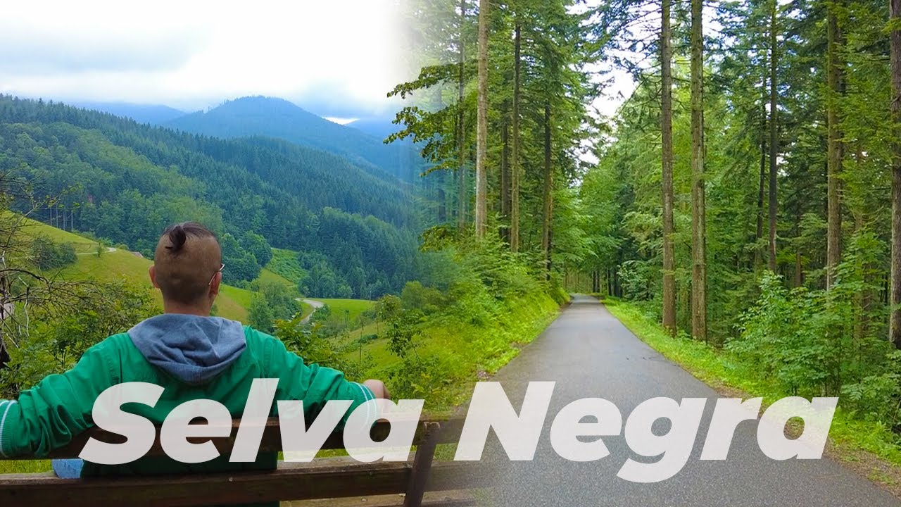 Explorando ALEMANIA : La SELVA NEGRA !