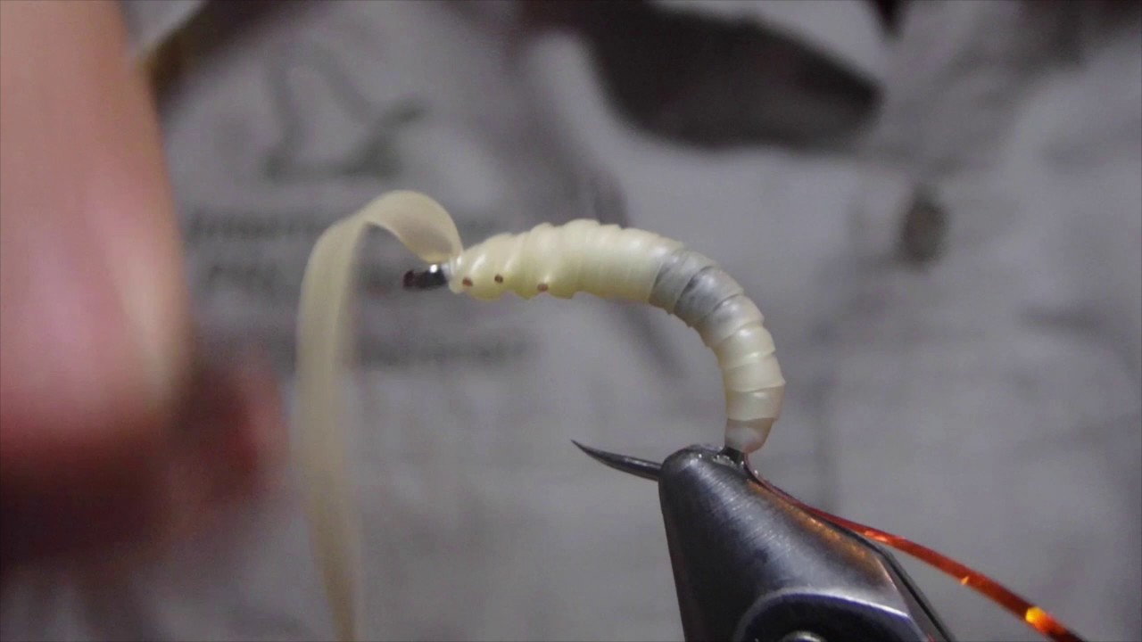UCA's Hise Waxy the Wax Worm