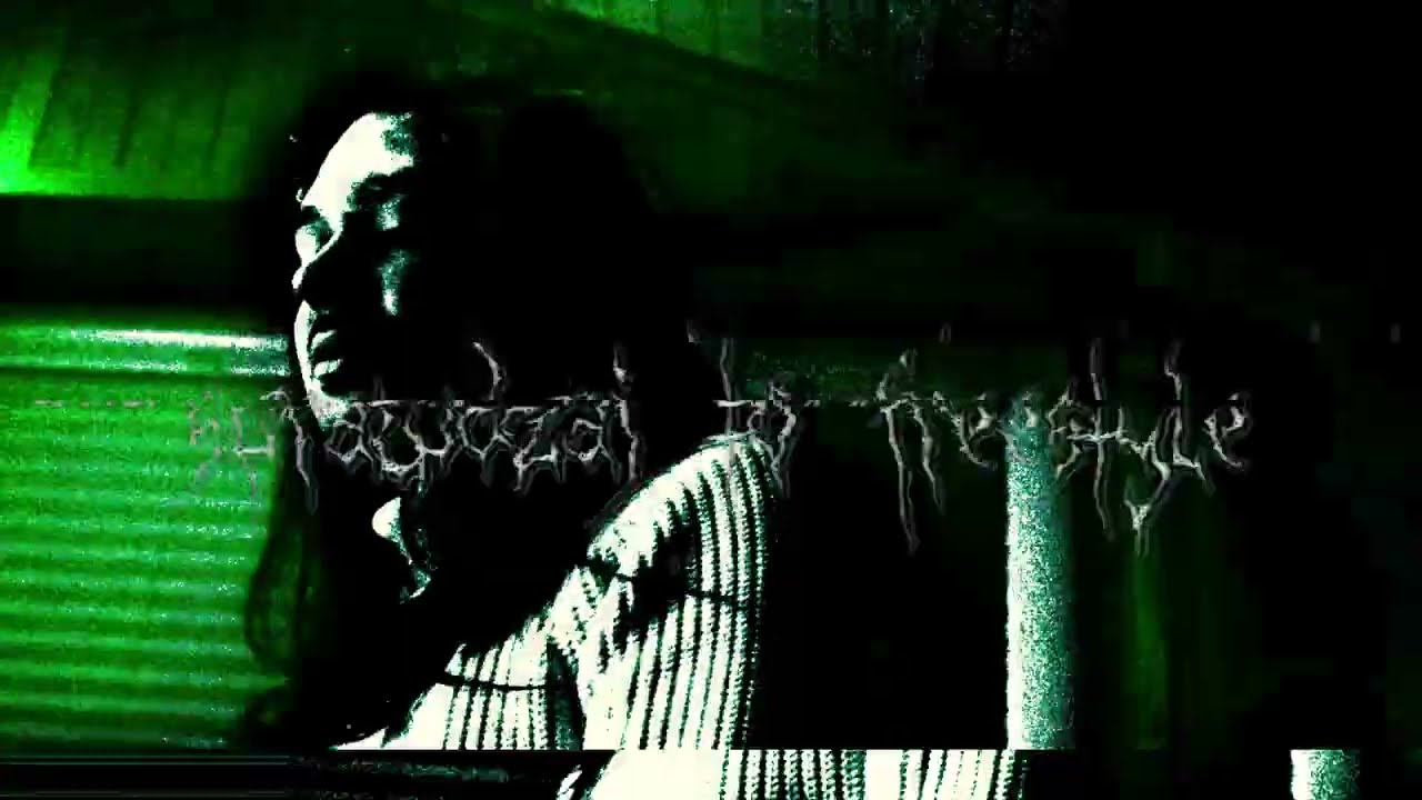 dzida - sprawdzaj to freestyle @trvpbeli  🎥visualizer by beli