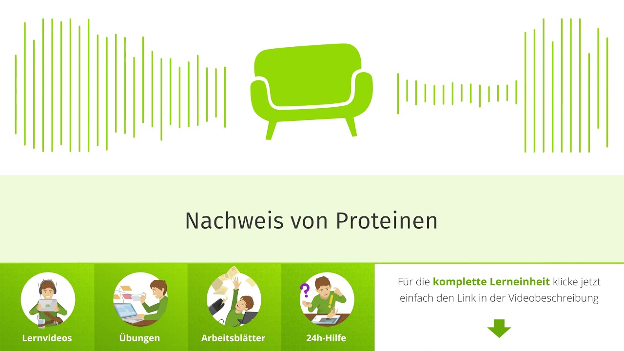 Nachweis von Proteinen einfach erklärt | sofatutor
