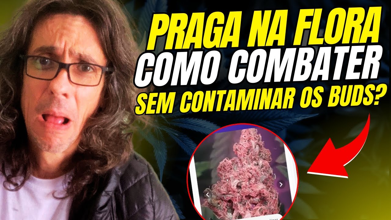 Infesta&ccedil;&atilde;o na Flora&ccedil;&atilde;o? Como Blindar Suas Plantas Contra Pragas Insistentes!