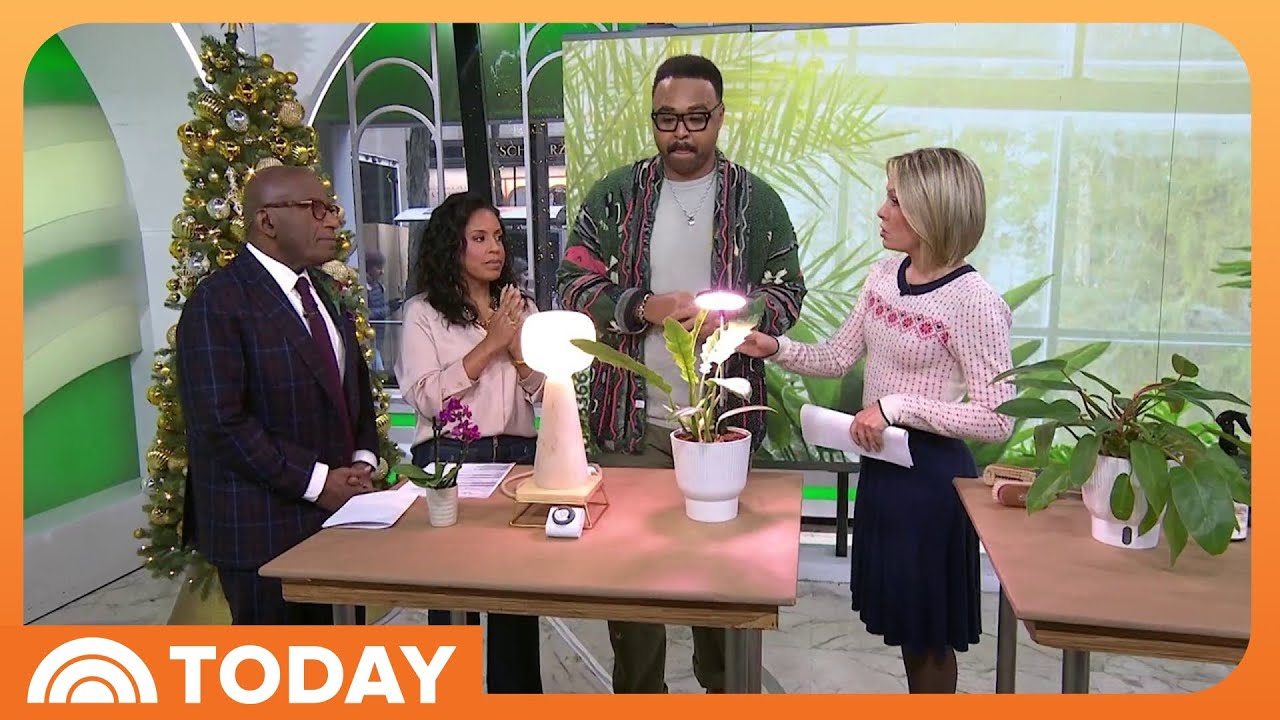 How to Keep Your Plants Alive During the Winter Months