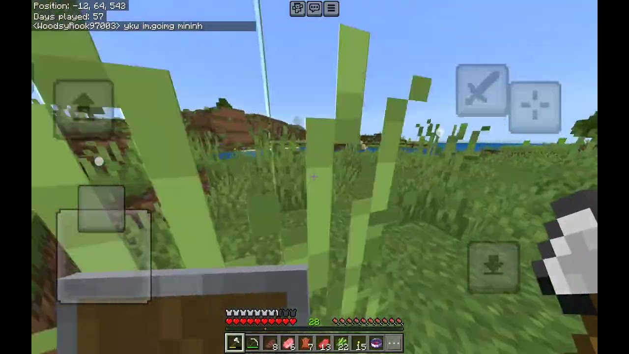 My friend's brother's server! THE SERVER SERIES!