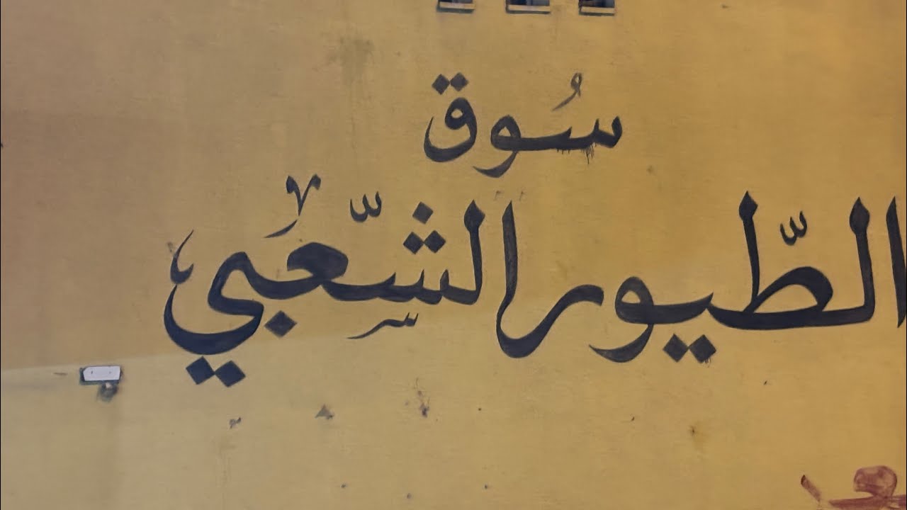 اسعار الحمام في سوق الزرقاء🤔