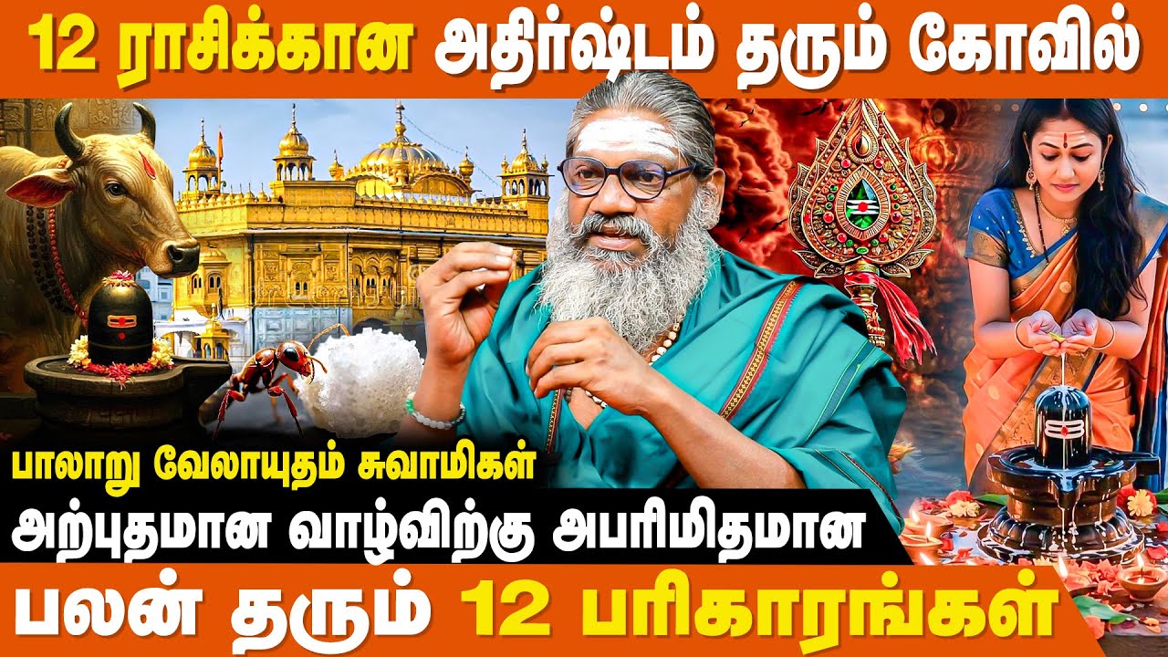 செல்வம் சேருவதற்கு இந்த பரிகாரத்தை செய்து பாருங்க - Palaru Velayutham Swamigal | General Pariharam