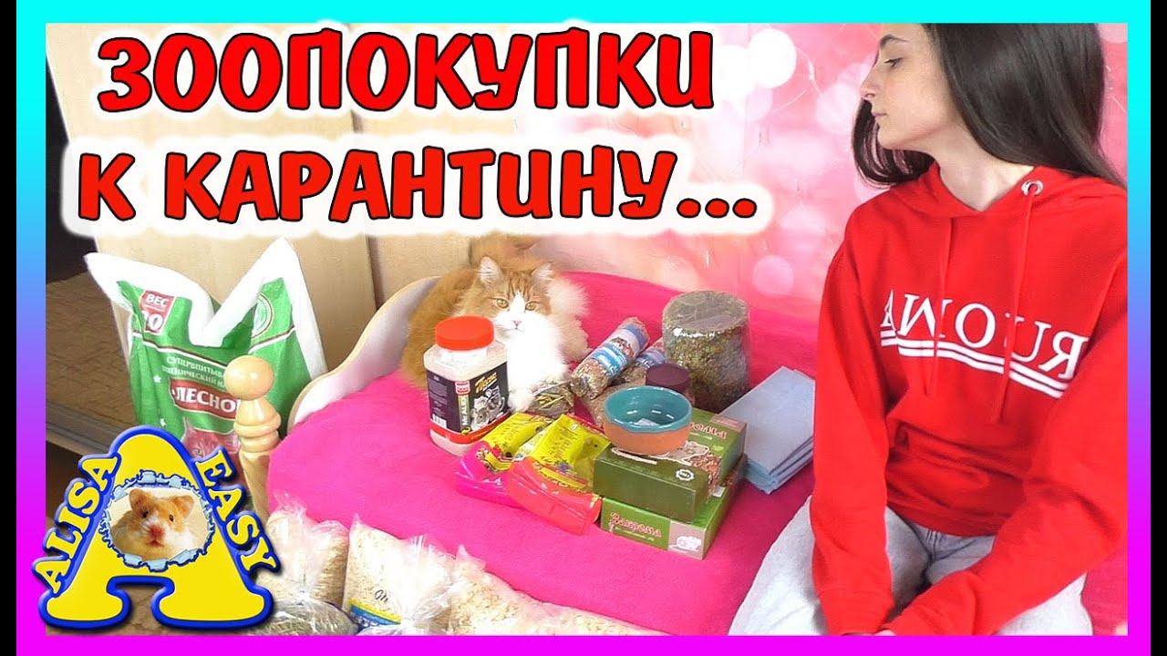 ЗООПОКУПКИ / ЗАПАСАЕМСЯ КОРМАМИ ДЛЯ ХОМКИ - ПОКУПКИ В ЗООМАГАЗИНЕ / Alisa Easy Pets