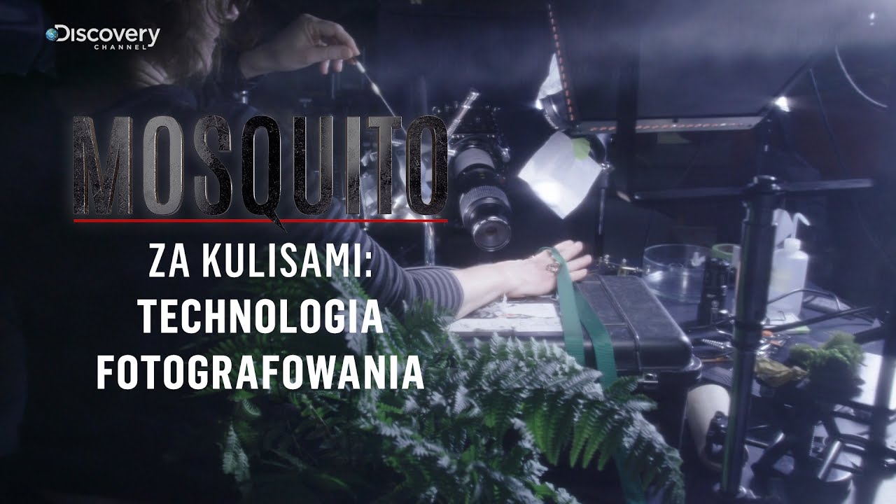 MOSQUITO - ZA KULISAMI | Technologia fotografowania | Discovery Channel