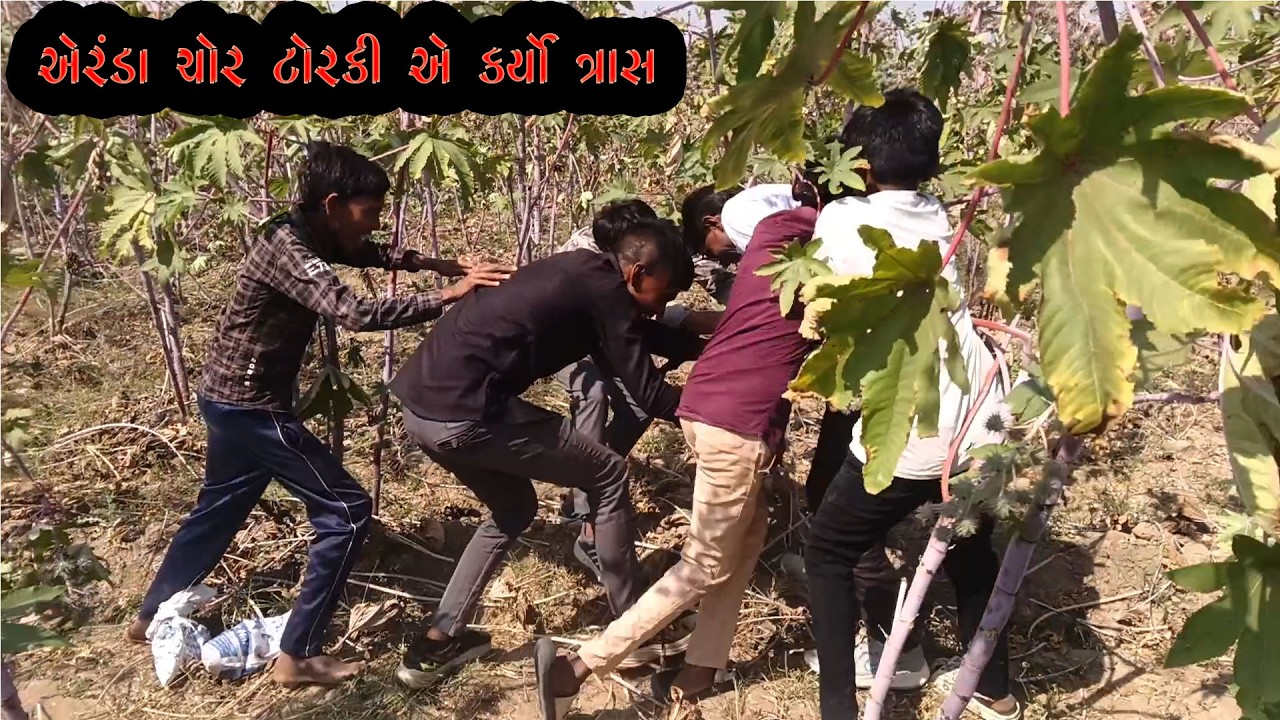 એરંડા ચોર ટોરકી એ કર્યો ત્રાસ 😂😂😂   #comedy #funny #comedyvideo #viral #gujarati #holi