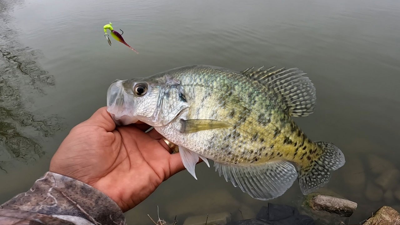 This LURE Caught A LOAD of Early Spring CRAPPIE!