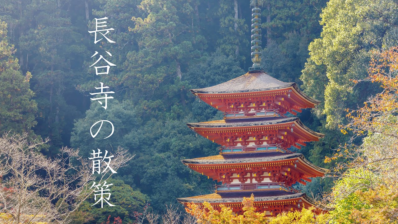 Hasedera Temple｜Quiet Early Morning Walk｜Autumn｜No Talking | UsagiFilm